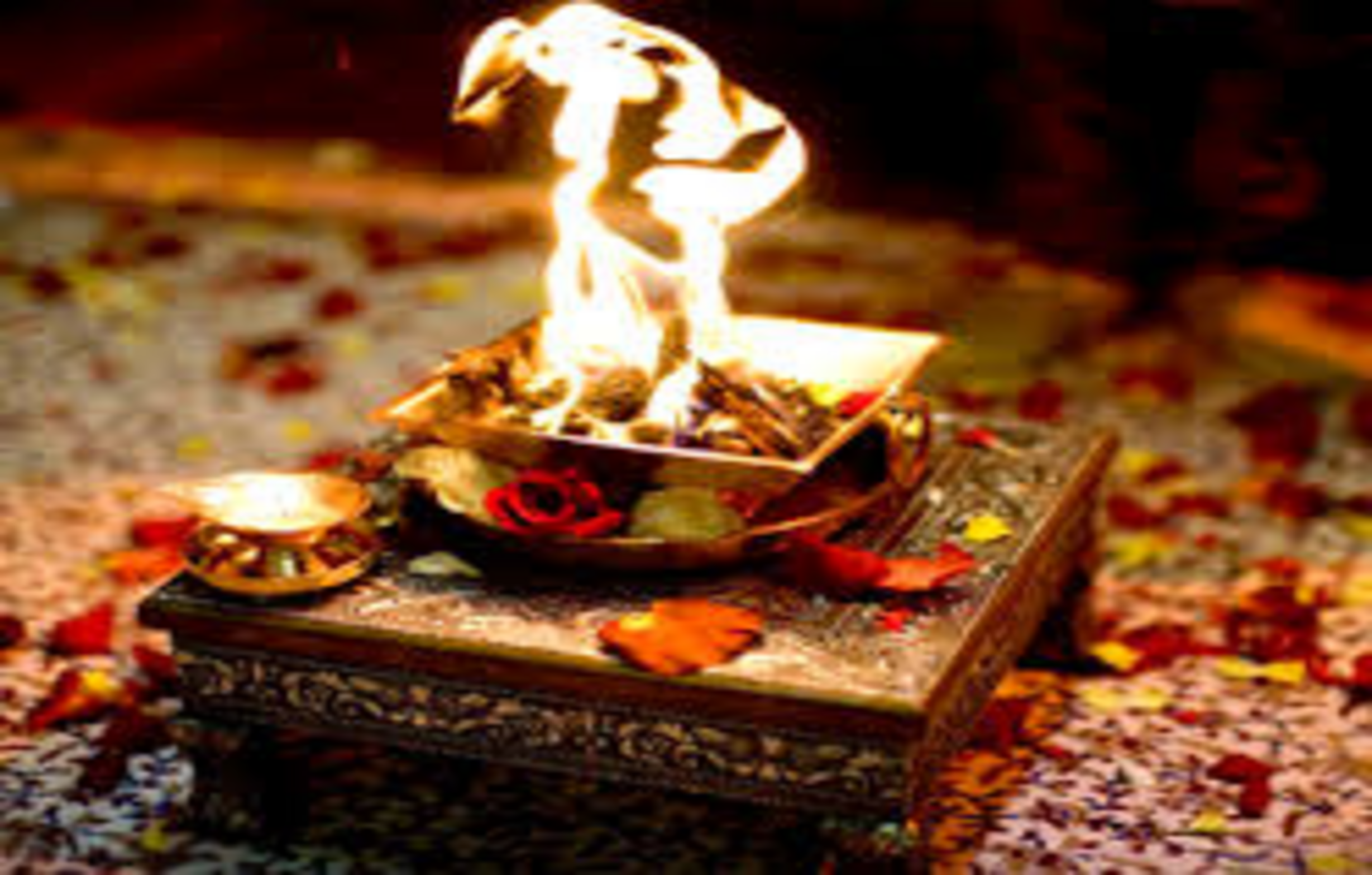 Homa Puja/Jajamana (on Rathajatra day)